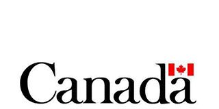 Vagas relações internacionais