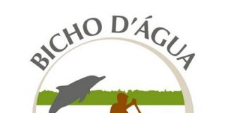 vagas relações internacionais