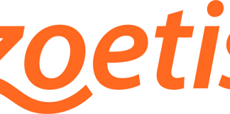 vagas relações internacionais